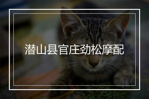 潜山县官庄劲松摩配
