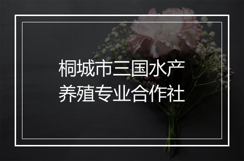 桐城市三国水产养殖专业合作社