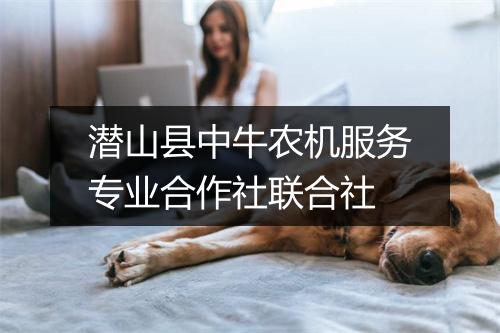 潜山县中牛农机服务专业合作社联合社
