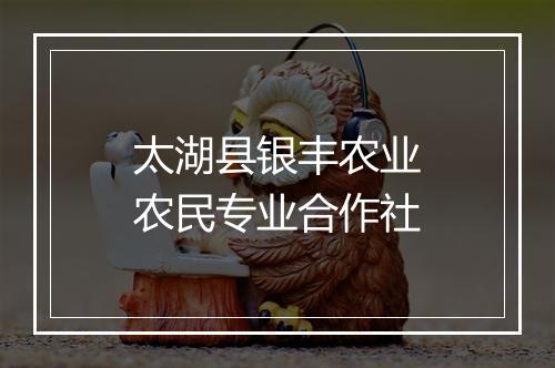 太湖县银丰农业农民专业合作社