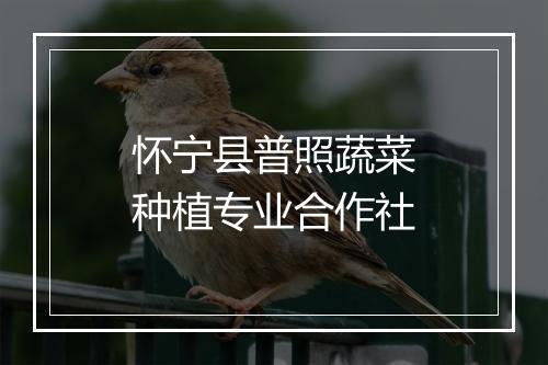 怀宁县普照蔬菜种植专业合作社