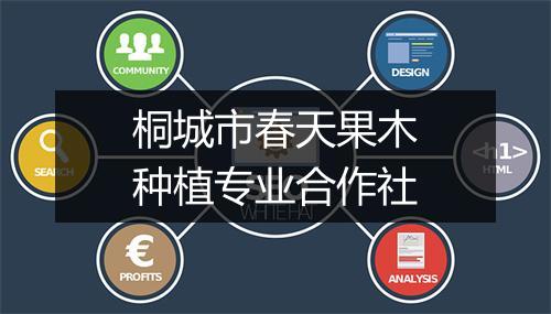 桐城市春天果木种植专业合作社