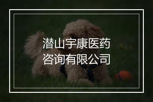 潜山宇康医药咨询有限公司