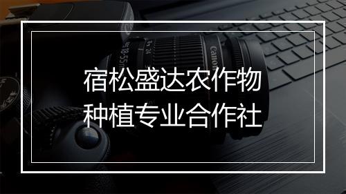 宿松盛达农作物种植专业合作社
