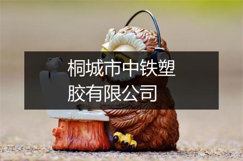 桐城市中铁塑胶有限公司