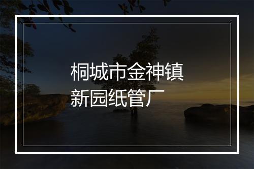 桐城市金神镇新园纸管厂