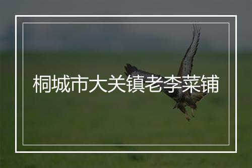 桐城市大关镇老李菜铺