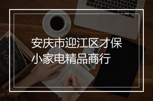 安庆市迎江区才保小家电精品商行