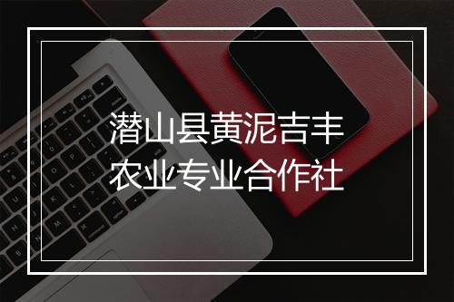 潜山县黄泥吉丰农业专业合作社