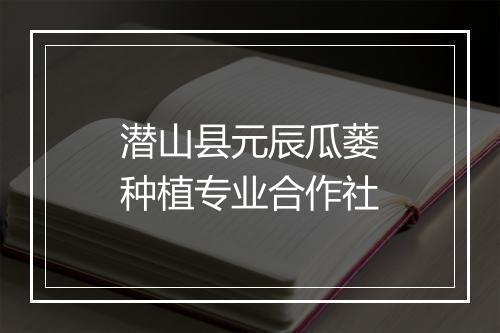 潜山县元辰瓜蒌种植专业合作社