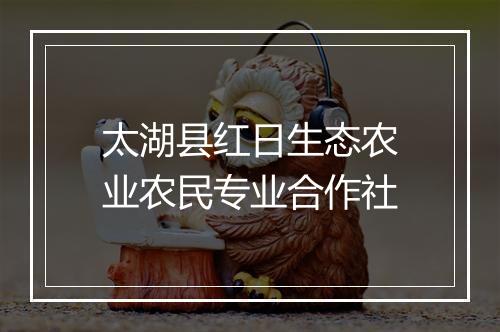 太湖县红日生态农业农民专业合作社