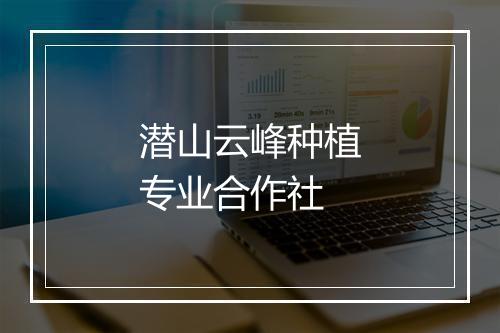潜山云峰种植专业合作社