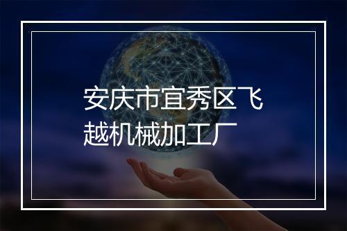 安庆市宜秀区飞越机械加工厂