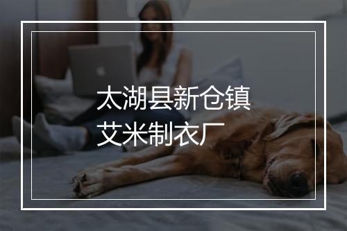 太湖县新仓镇艾米制衣厂
