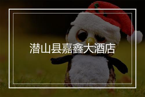 潜山县嘉鑫大酒店