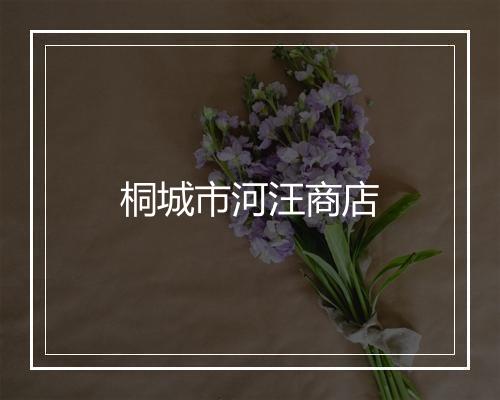 桐城市河汪商店