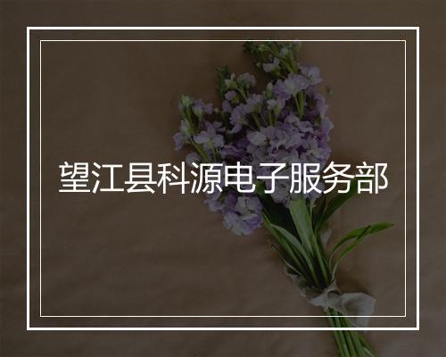 望江县科源电子服务部