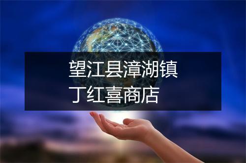 望江县漳湖镇丁红喜商店