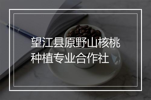 望江县原野山核桃种植专业合作社