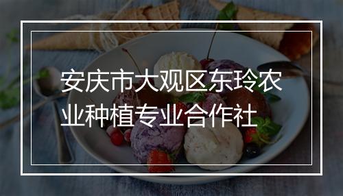 安庆市大观区东玲农业种植专业合作社