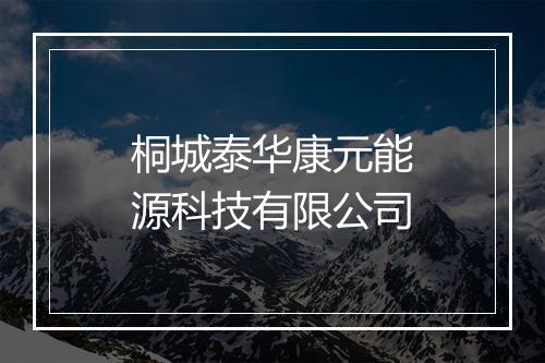 桐城泰华康元能源科技有限公司