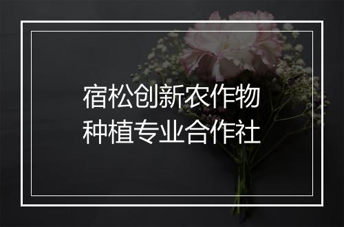 宿松创新农作物种植专业合作社