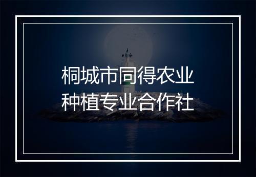 桐城市同得农业种植专业合作社