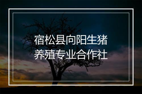 宿松县向阳生猪养殖专业合作社