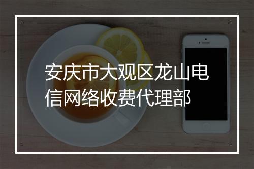 安庆市大观区龙山电信网络收费代理部