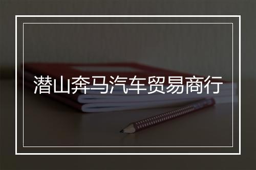 潜山奔马汽车贸易商行