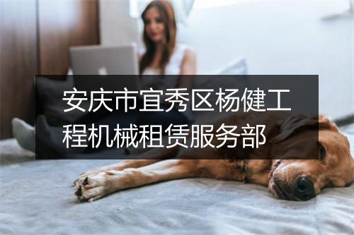 安庆市宜秀区杨健工程机械租赁服务部