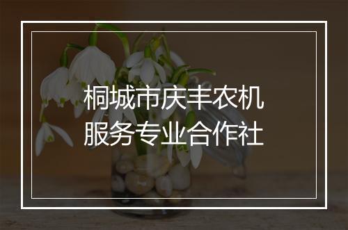 桐城市庆丰农机服务专业合作社