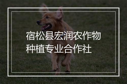 宿松县宏润农作物种植专业合作社