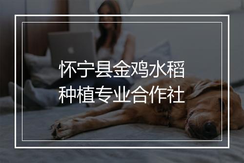 怀宁县金鸡水稻种植专业合作社