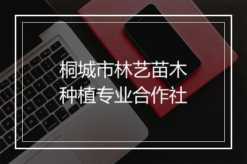 桐城市林艺苗木种植专业合作社