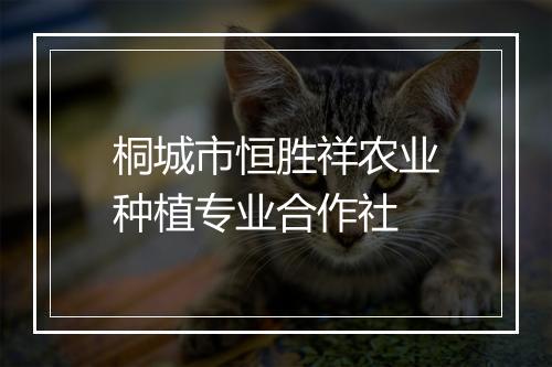 桐城市恒胜祥农业种植专业合作社