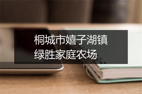 桐城市嬉子湖镇绿胜家庭农场