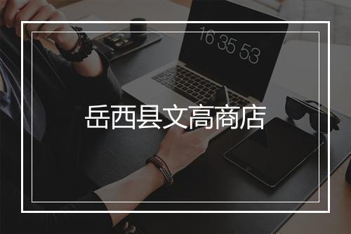 岳西县文高商店