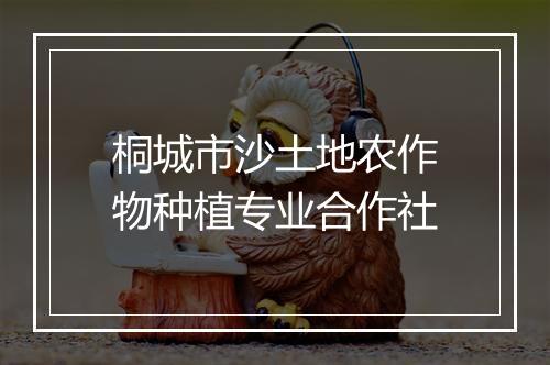 桐城市沙土地农作物种植专业合作社