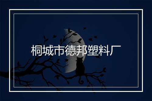 桐城市德邦塑料厂
