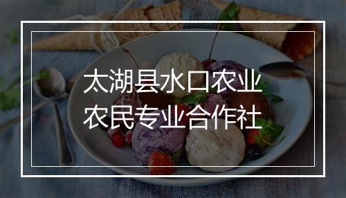 太湖县水口农业农民专业合作社
