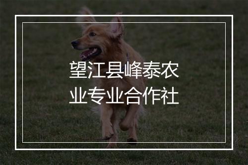 望江县峰泰农业专业合作社