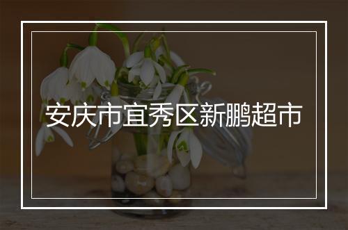 安庆市宜秀区新鹏超市