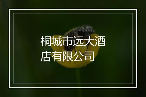 桐城市远大酒店有限公司