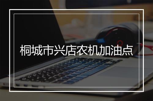 桐城市兴店农机加油点
