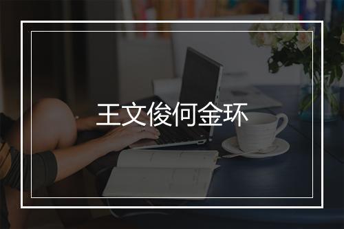 王文俊何金环
