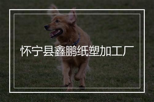 怀宁县鑫鹏纸塑加工厂