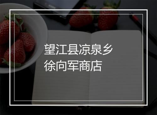 望江县凉泉乡徐向军商店