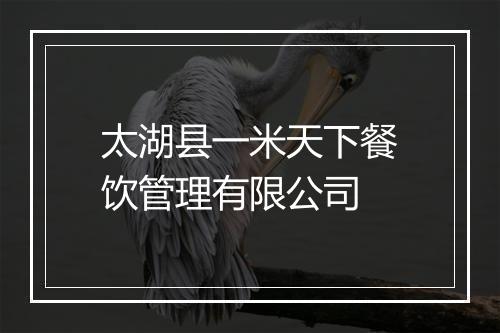 太湖县一米天下餐饮管理有限公司