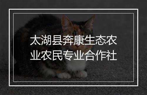 太湖县奔康生态农业农民专业合作社